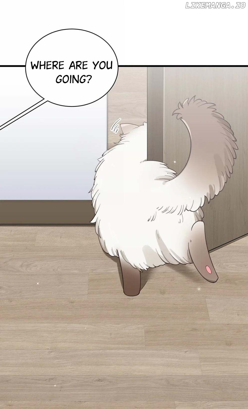 My Fake Girlfriends are using me as a Shield Chapter 137 - page 22